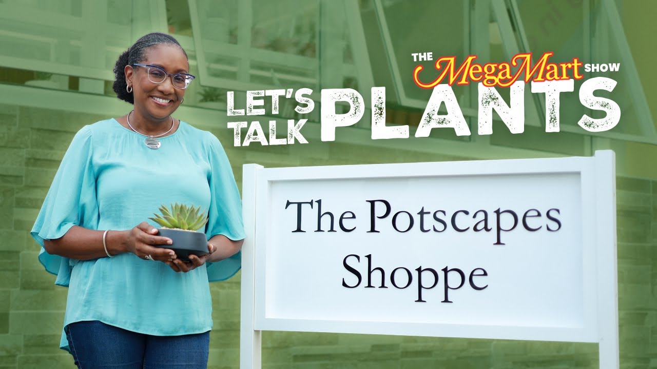 Let’s Talk Plants | The Potscapes Shoppe