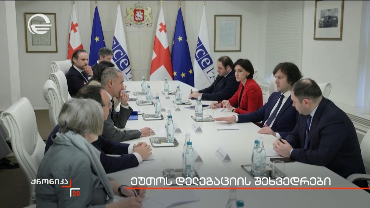 ეუთოს დელეგაციის შეხვედრები