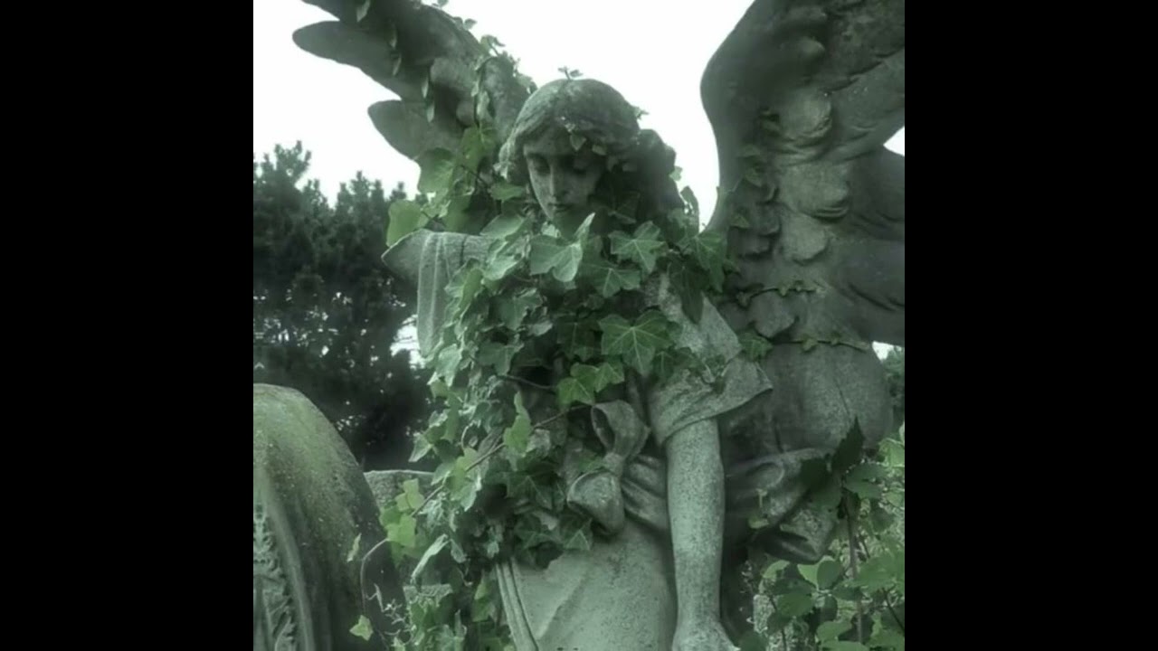 ivy (audio)