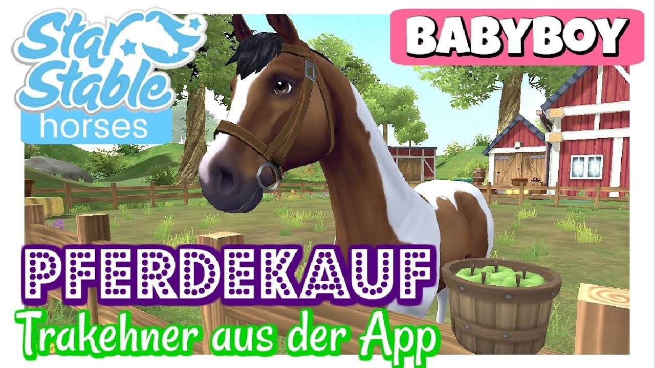 Star Stable Horses APP [PFERDEKAUF]: Der TRAKEHNER auf Level 10 zieht ein [DEUTSCH]
