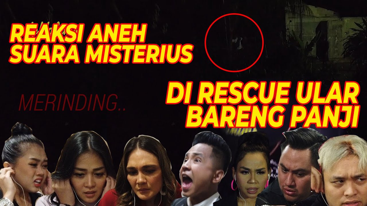 KLARIFIKASI SUARA MISTERIUS WAKTU RESCUE ULAR BARENG PANJI...