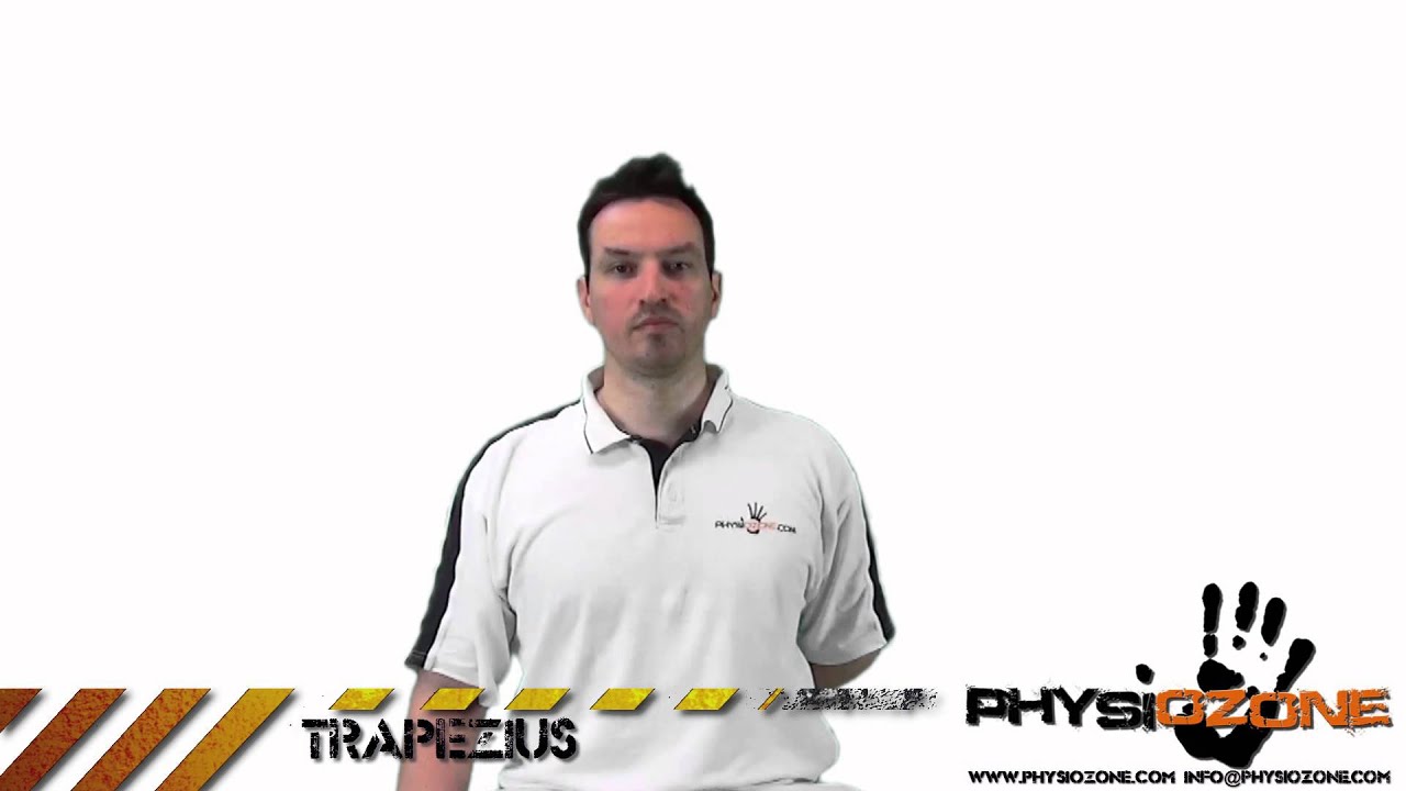 Physiozone | Stretches | Neck | Trapezius