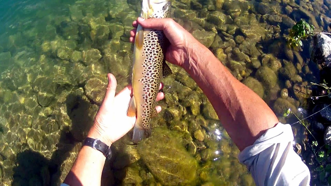 Pesca a mosca  valsesiana - La bollata della trota -