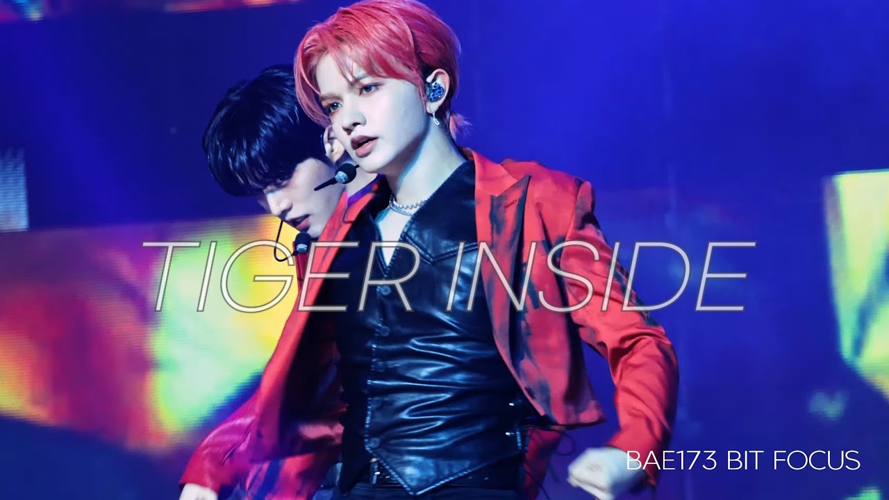 BAE173 빛 BIT FANCAM - 호랑이[4K]빛캠 @230625 피크타임콘서트