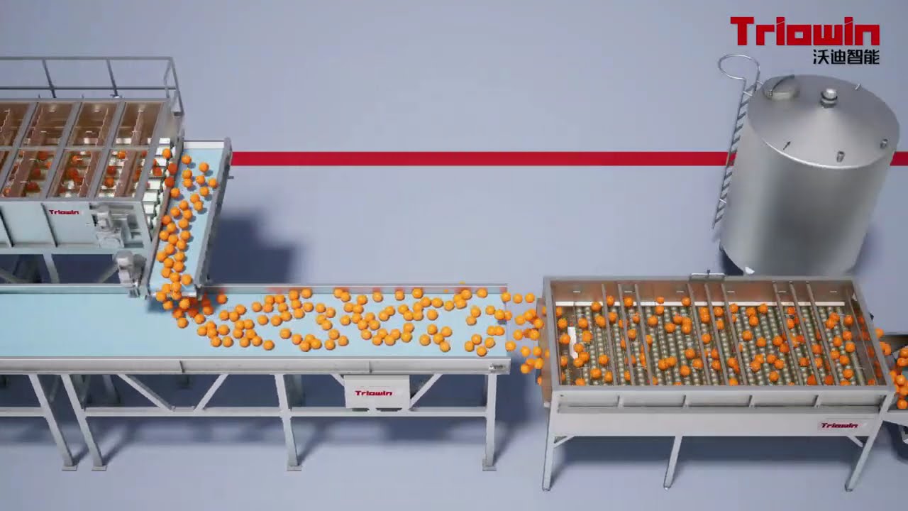 Turnkey Project for citrus/orange processing line, citrus/orange/lemon process 20 to 2000 tons/day