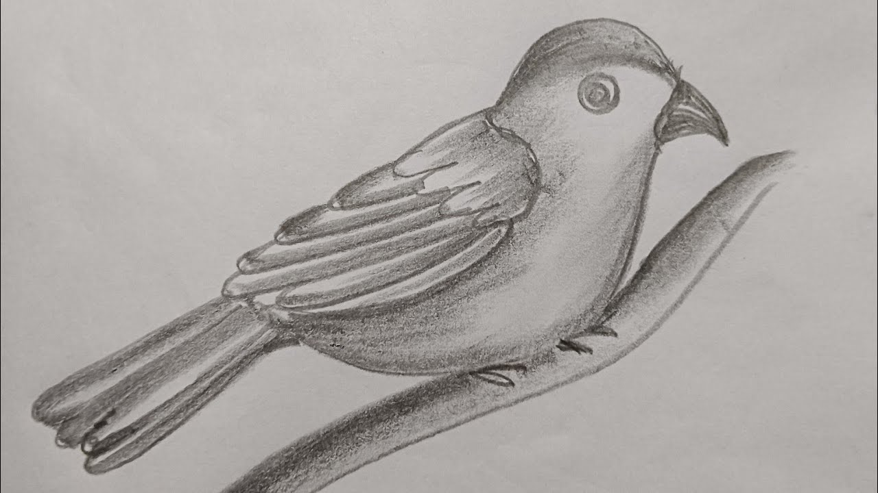 Very easy pencil sketch Bird 🕊️ drawing #drawing#pencilsketch
