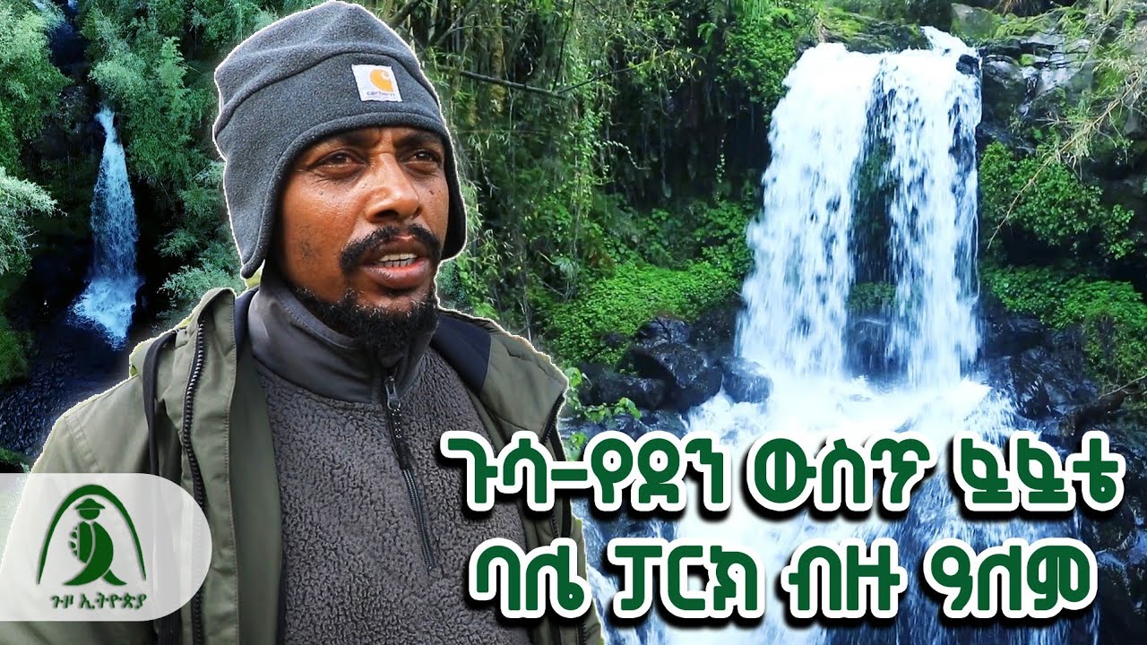 ጉሳ-የደን ውስጥ ፏፏቴ፤ ባሌ ፓርክ ብዙ ዓለም፤ #ጉዞ_ኢትዮጵያ  #guzoEthiopia #VisitEthiopia  Bale Mountains National Park