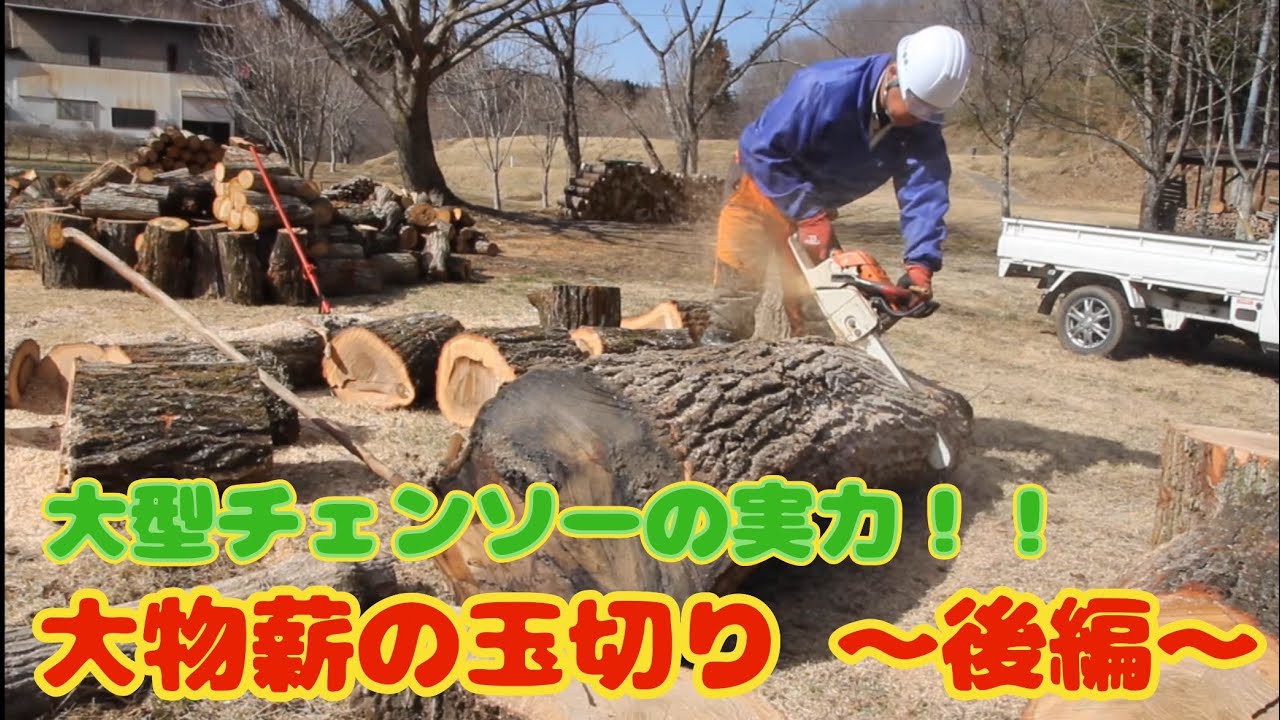 大型チェンソーで14トンのうち２トン分の薪の玉切りをしました