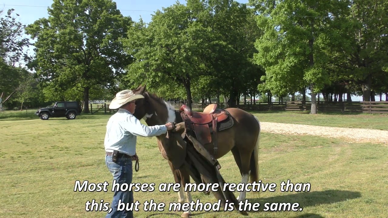 Help Your Horse Overcome Fear Using Approach and Retreat