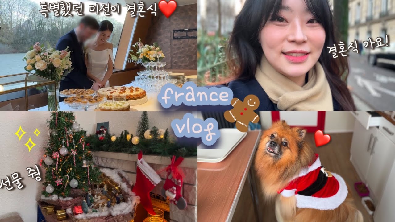 프랑스 vlog 🇰🇷🇫🇷 한-프 커플 결혼식, 센강 위 피로연, 프랑스인 가족들과 크리스마스🎄 보내기, 오랜만에 엄마 만난 심바