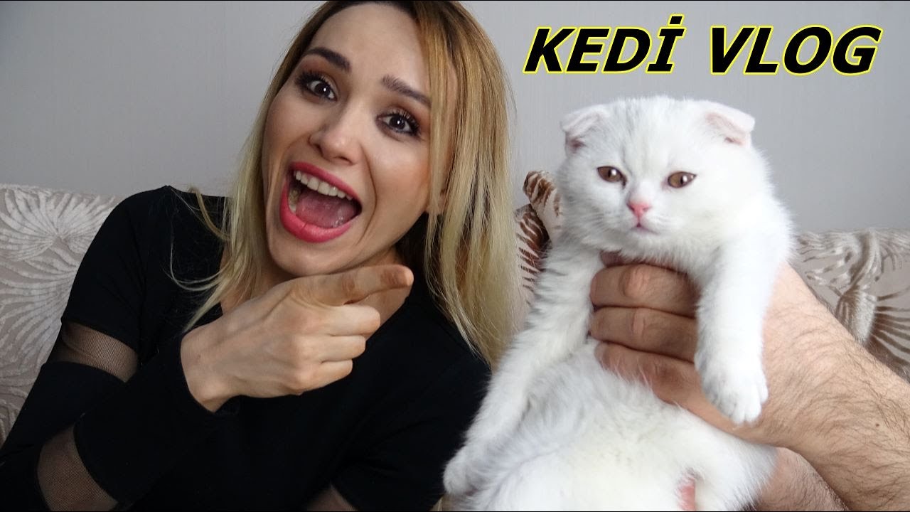 Prenses Lina'ya Kedi Aldık Kedimizle İlk G&uuml;n&uuml;m | Rukiye &Ccedil;etinkaya