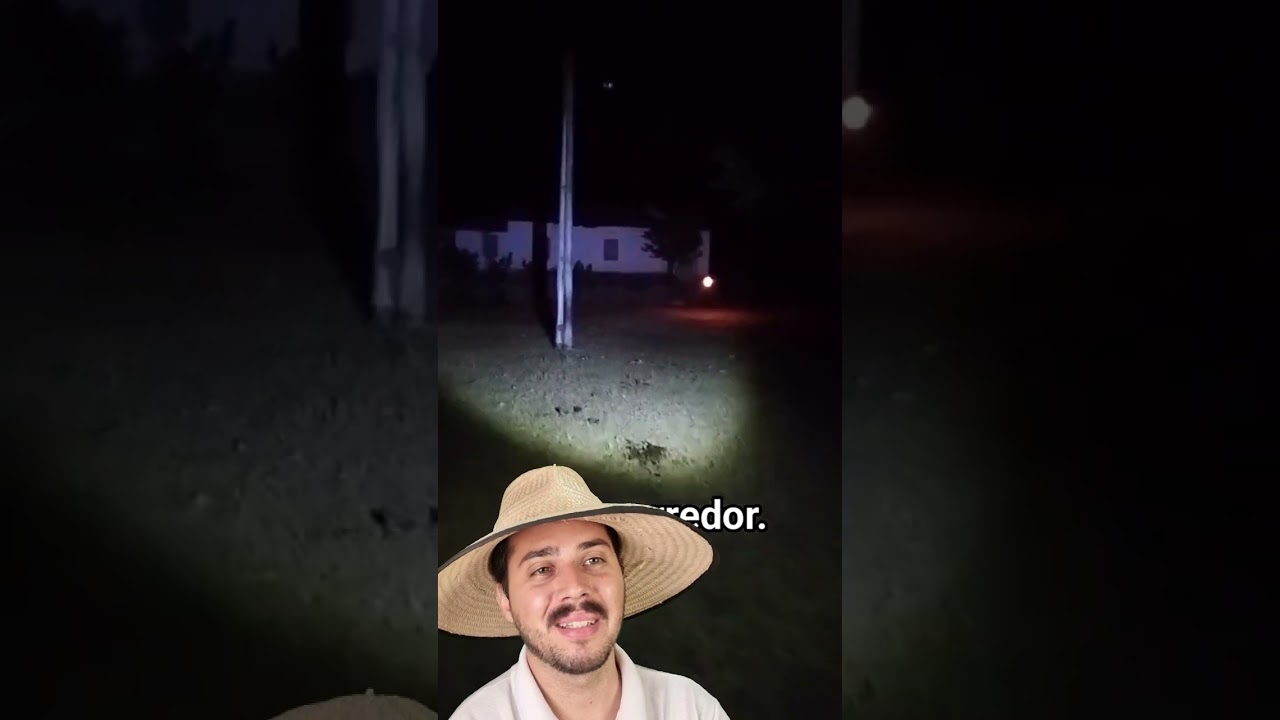 M&atilde;e do Ouro 