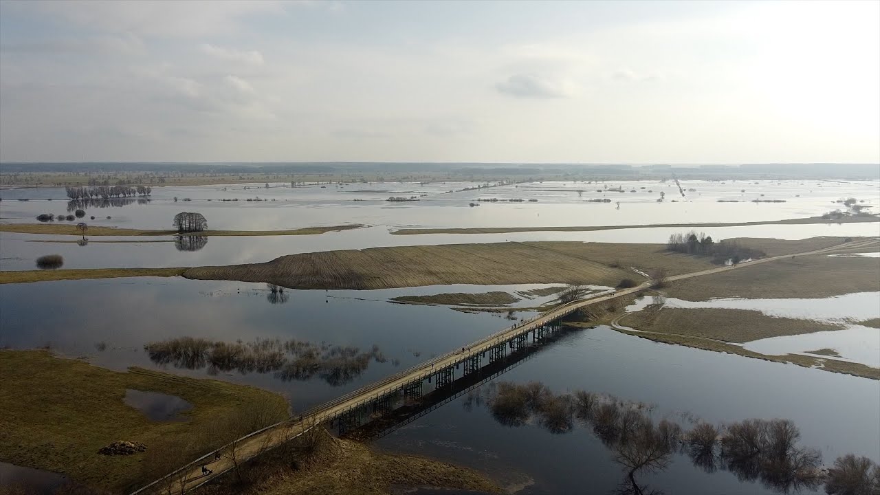 Niedziela na moście w Bronowie