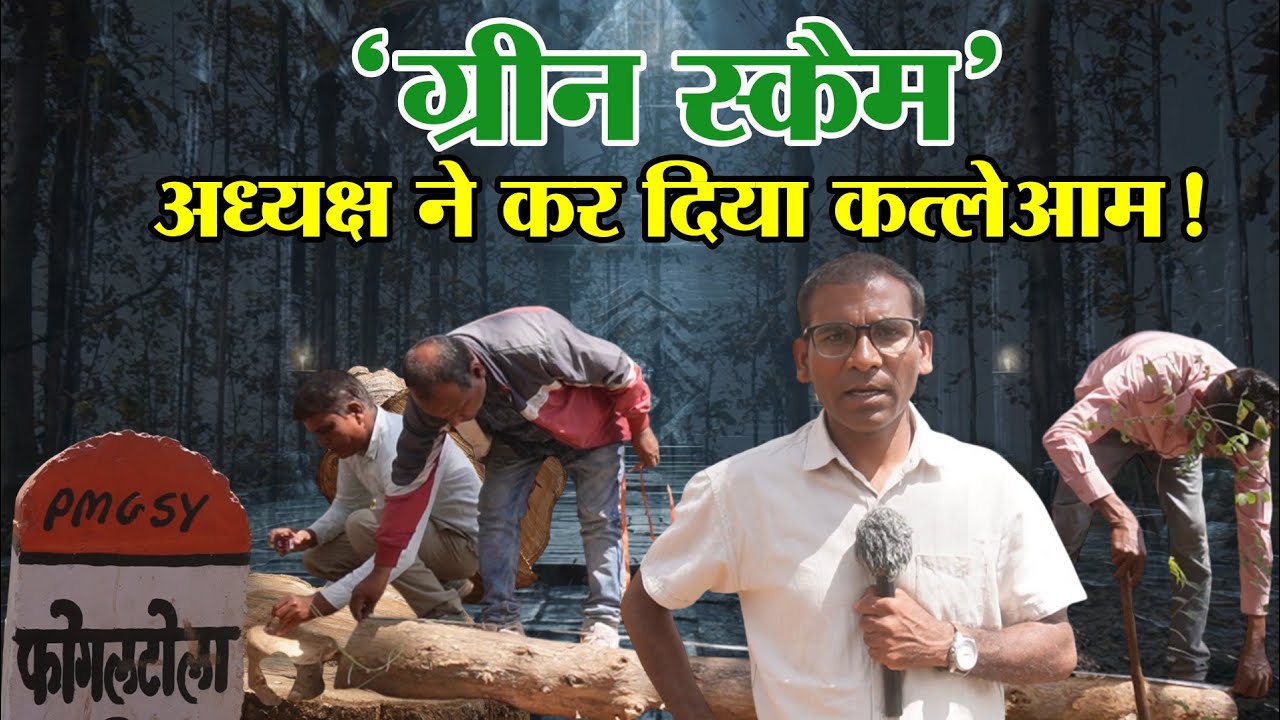 वन समिति अध्यक्ष ने ही कटवा डाले सागौन के पेड़! | फोगलटोला पाथरी प्लांटेशन से ग्राउंड रिपोर्ट 