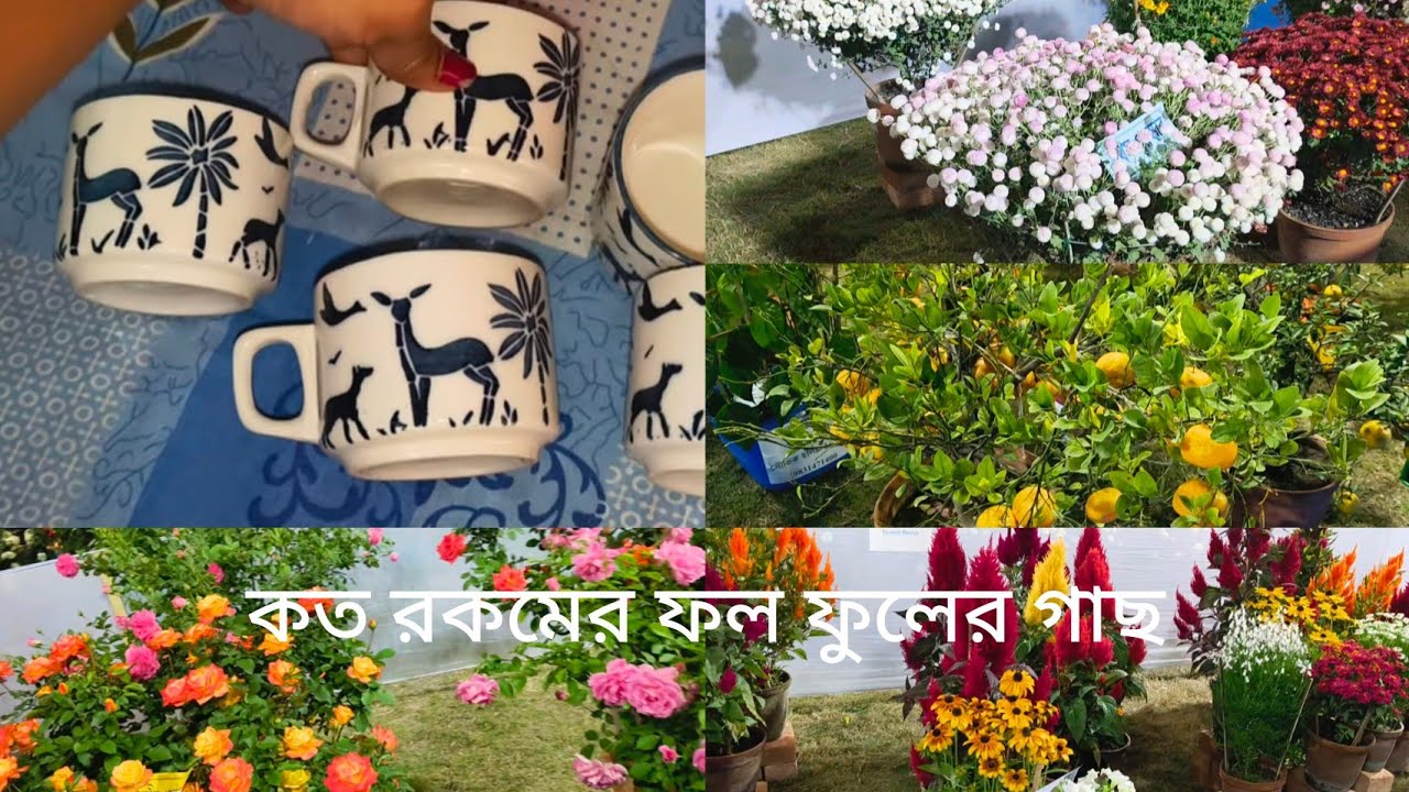 আজকে গেলাম পুষ্প 🌺🌹মেলাতে । কত রকমের ফুলের 🌺🌹 গাছ ফলের গাছ 🌳🌲🌴 । মেলাতে গিয়ে কি কি কিনলাম 🤔