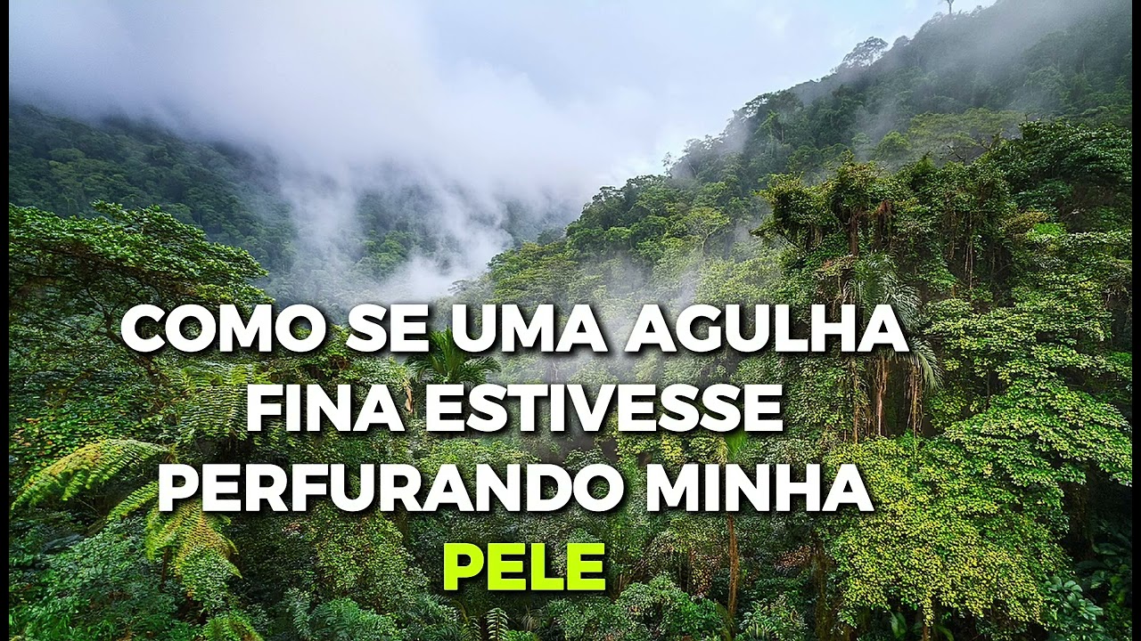 Aceitei o fato de que tudo o que conheço é um sonho