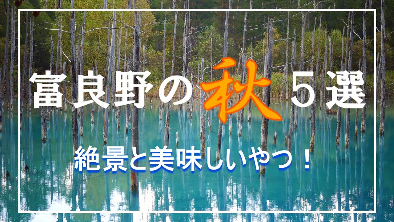 富良野の秋　５選