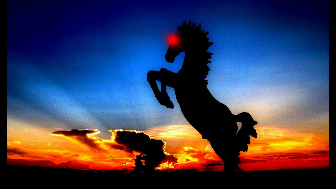 Blucifer the Demon Horse - Mysteries & Miracles