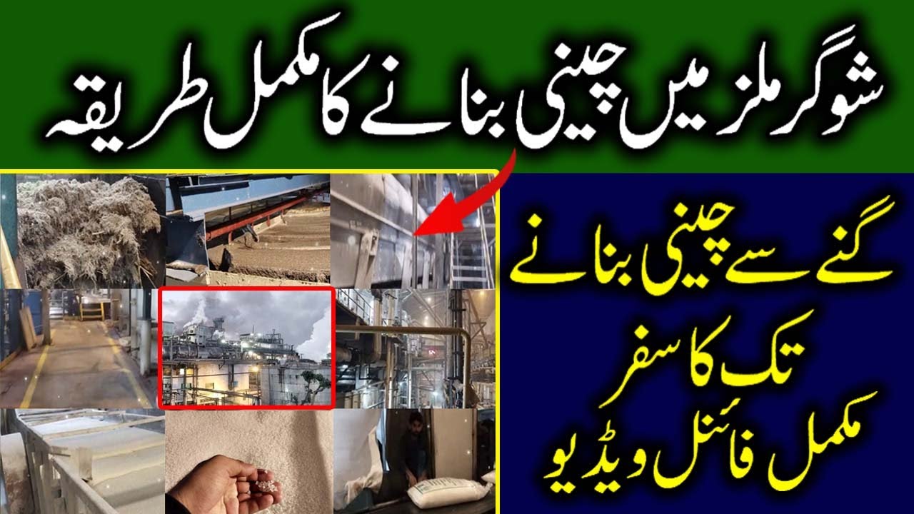 Sugarcane to Sugar | A Day in Pakistan's Sugar Industry | Full Process | Inside View | Factory Tour