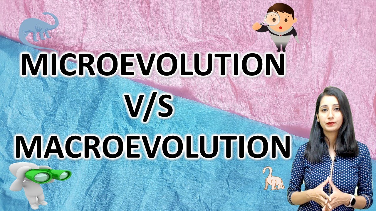 Microevolution V/S Macroevolution I Evolution and Behaviour