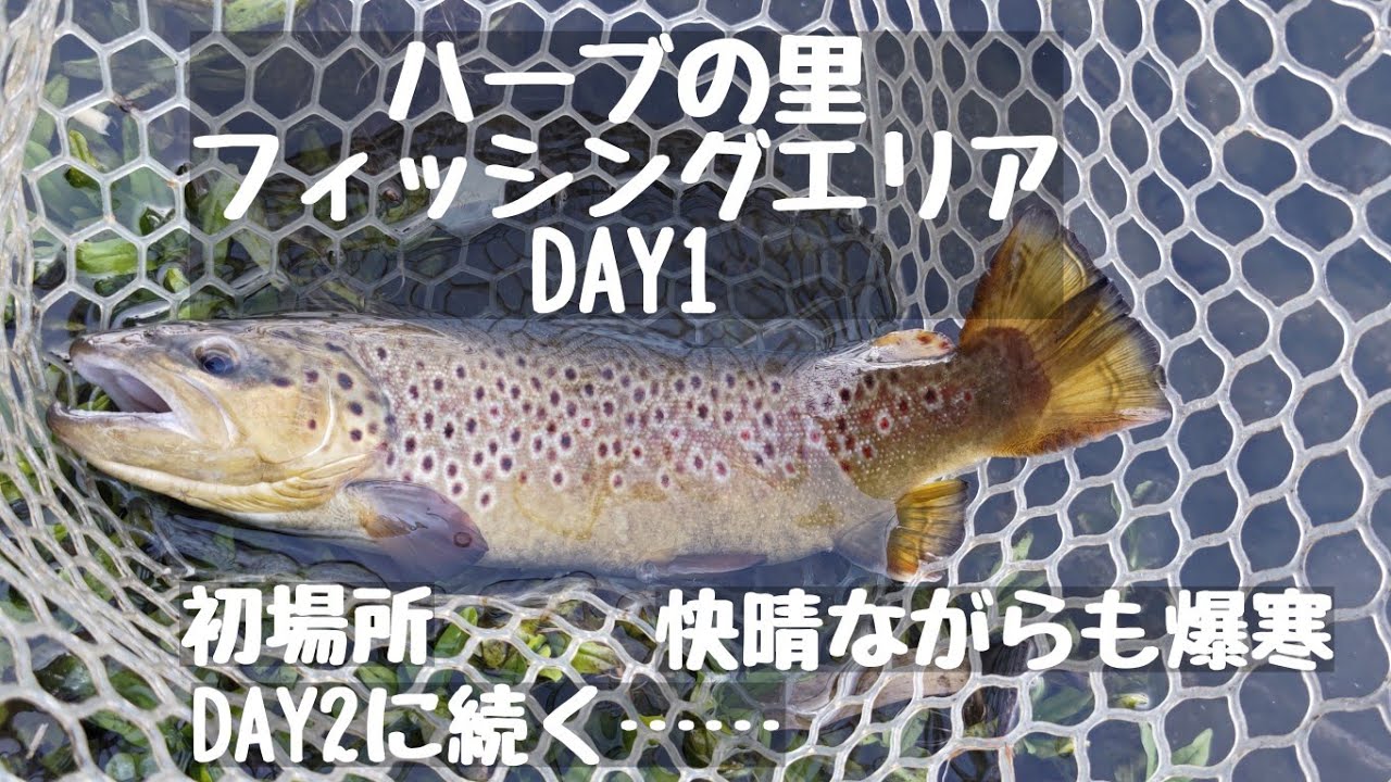 エリアトラウトフィッシング【管理釣り場】初めて行くハーブの里フィッシングエリア