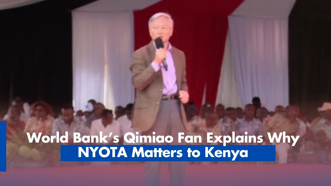 Qimiao Fan  NYOTA Can Address Kenya’s Biggest Development Gaps
