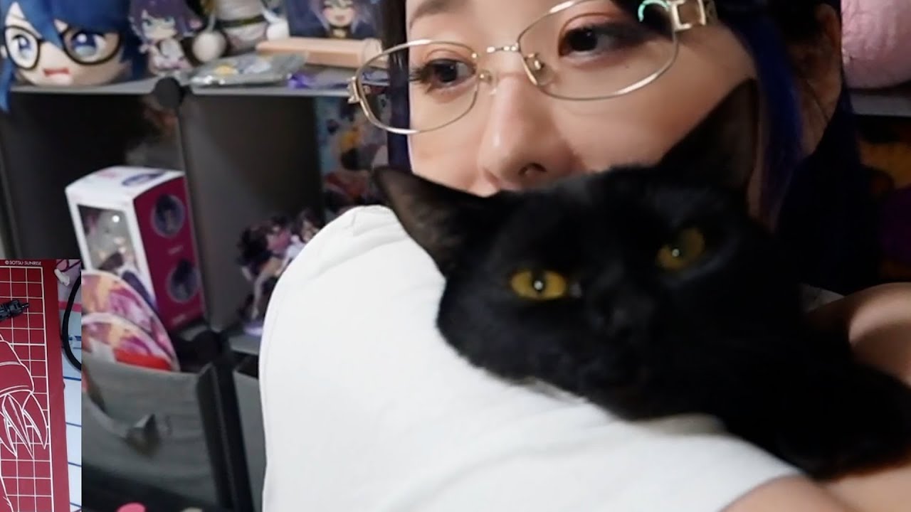 Super chill cat[kson]