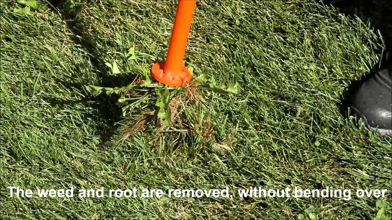 Accuform Weed Puller