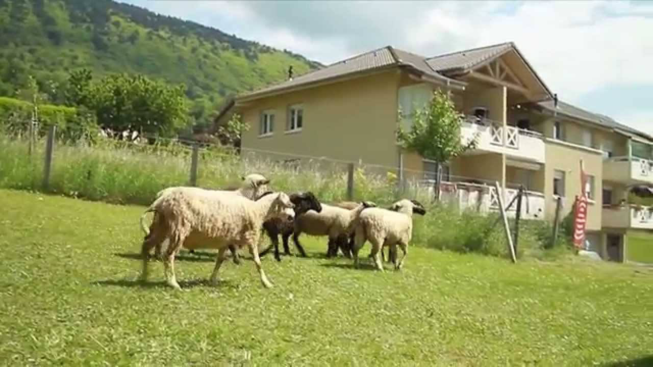 La Politique Environnementale de Saint-Cergues