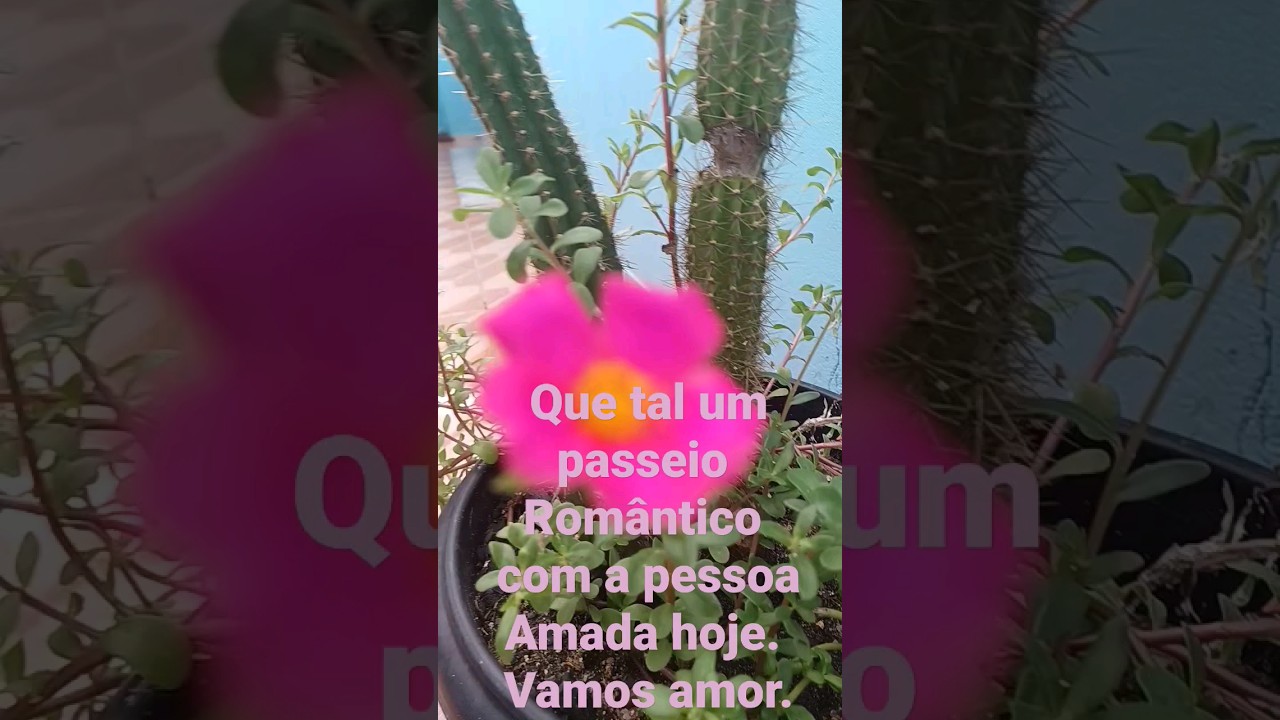 Que tal um passeio rom&acirc;ntico ?