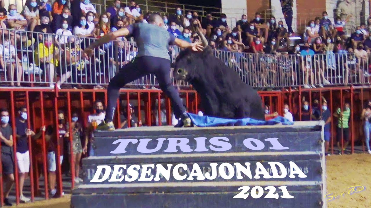 ✅2021 TURIS 01 ◾ DESENCAJONADA Ganaderia Julio Cervera