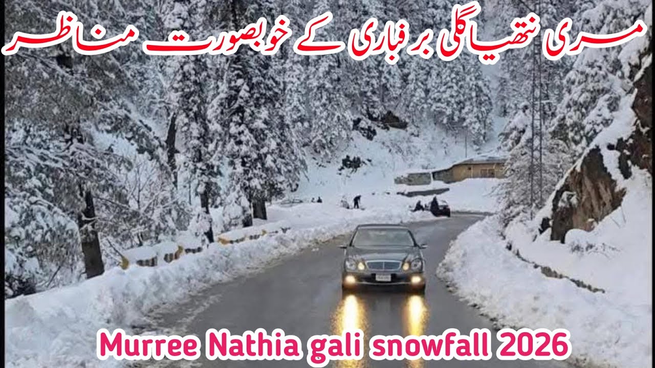 Murree live today | 
