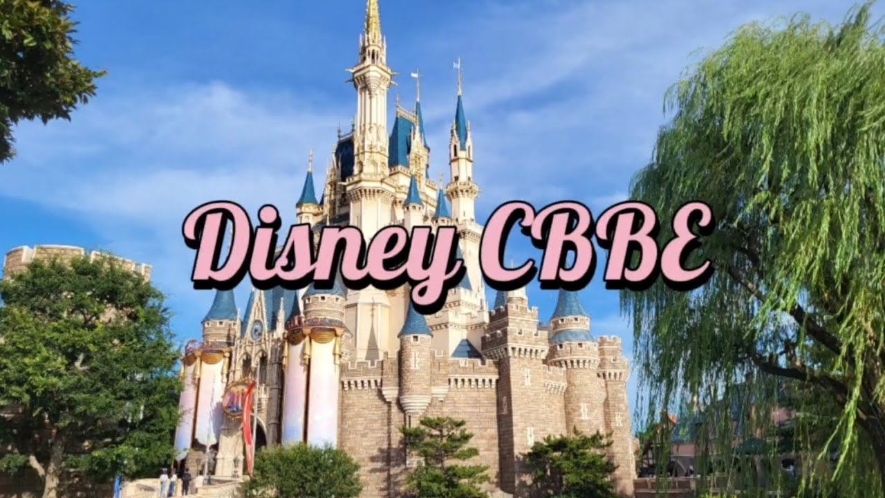 Disney Keller's customer brand equity pyramid