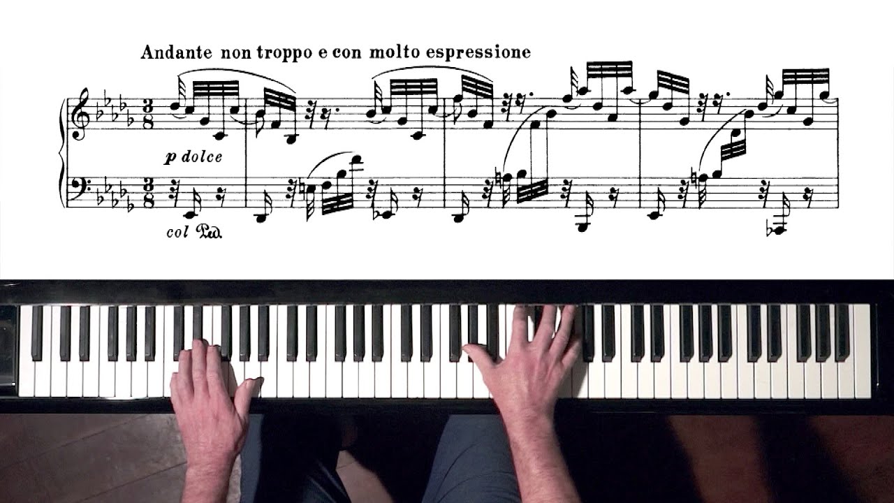 Brahms Intermezzo Op.117 No 2, P. Barton FEURICH piano