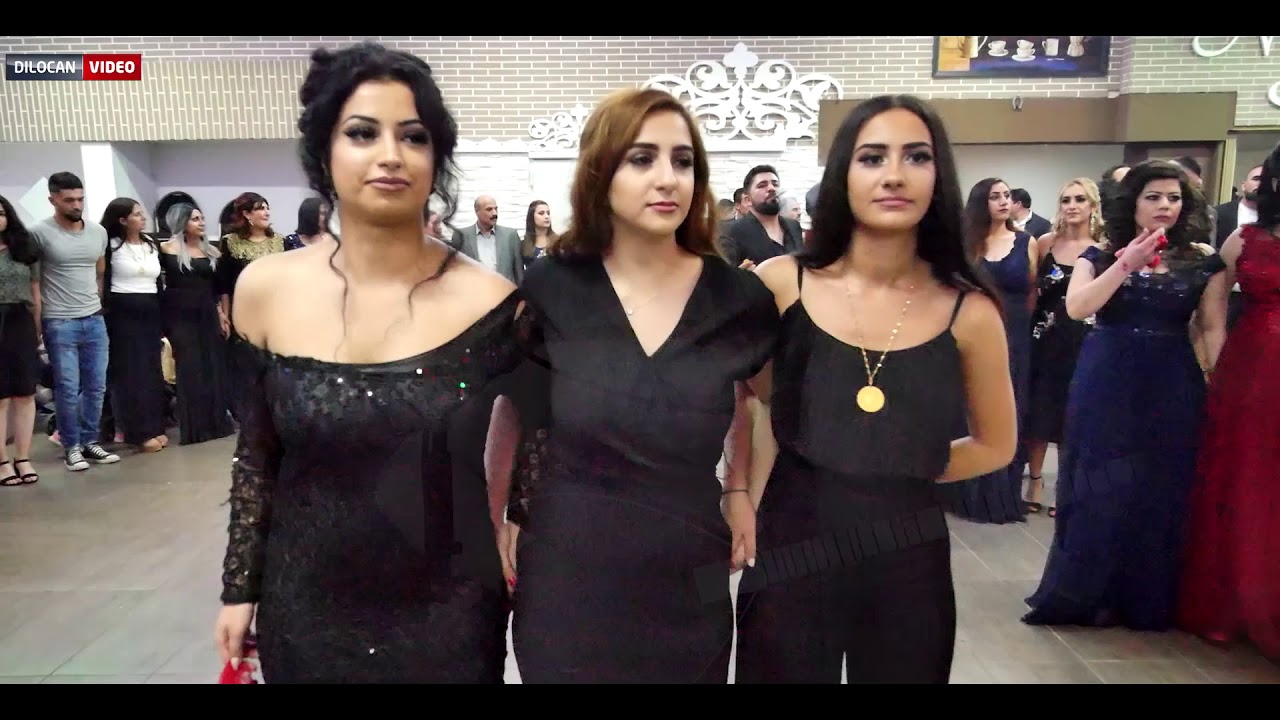 Delil Suliman kurdische Hochzeit ( Imad  & Hazle ) part 4 By DiloCan Video