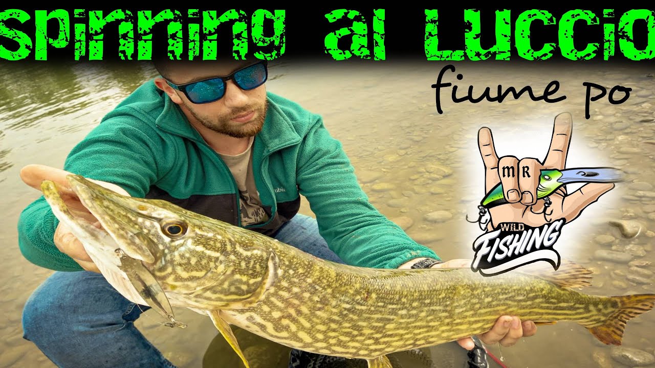 pesca al luccio in fiume po - pike fishing