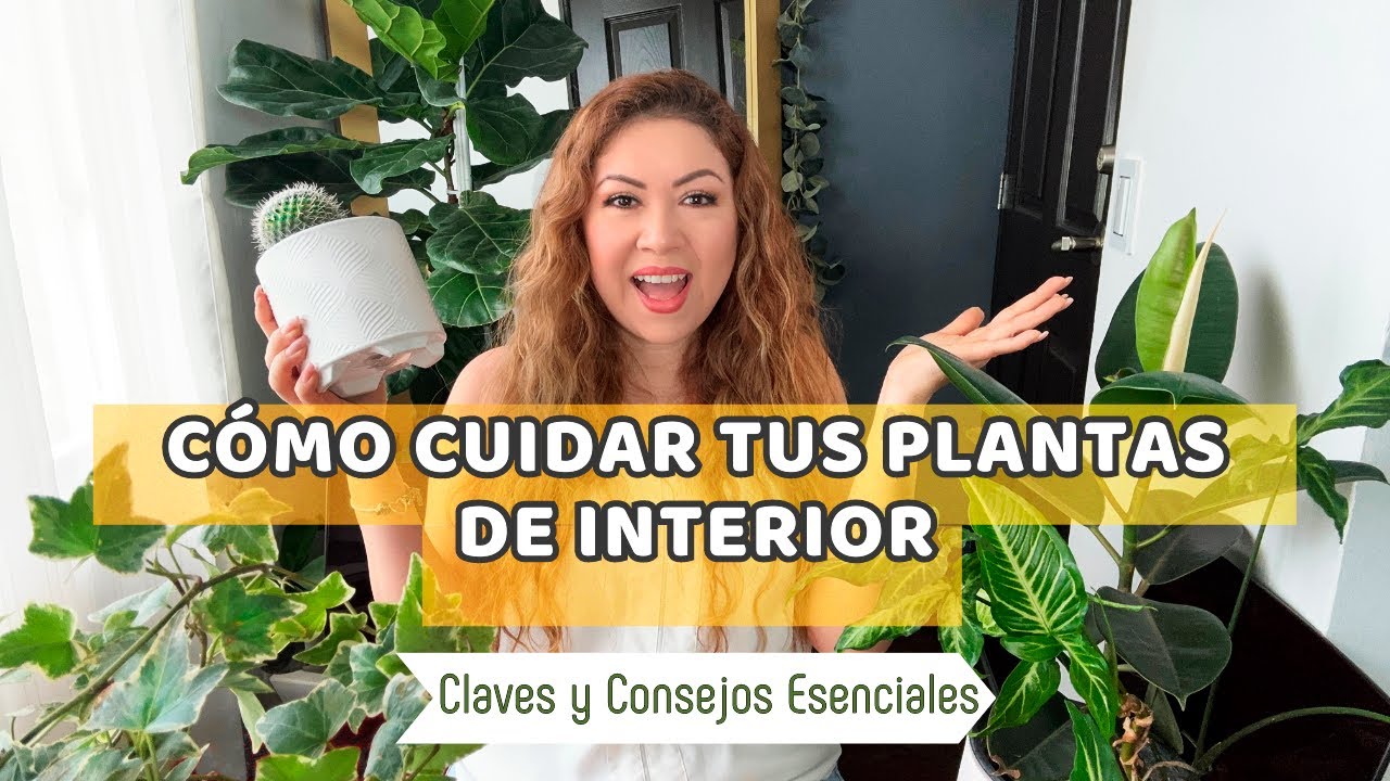 CUIDADOS ESENCIALES PARA TENER PLANTAS SALUDABLES / Guía básica para tener plantas lindas en casa 🪴