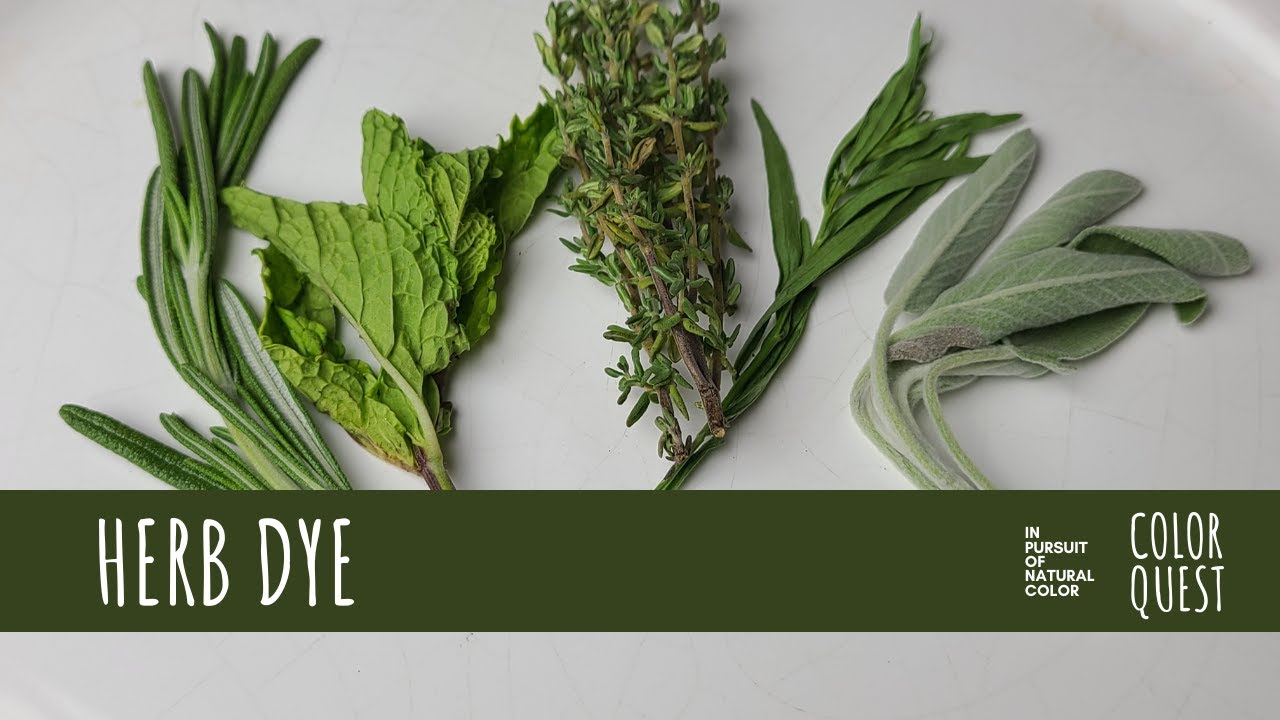 HOW TO MAKE NATURAL DYE WITH HERBS | ORGANIC COLOR | GREEN YELLOW BEIGE BROWN | IRON WATER | ALUM