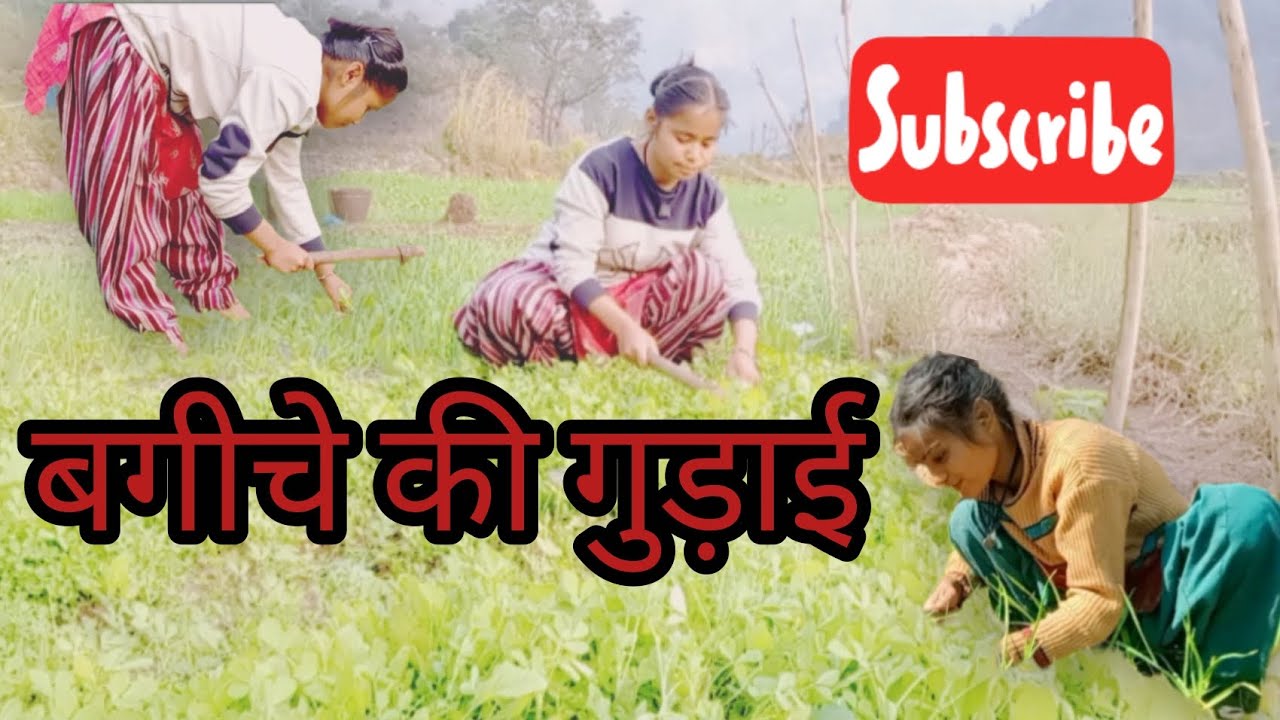 बगीचे की गुड़ाई 💗🌺🤗#phadilifestyle #vlogs @Yashunegivlog-v4n 