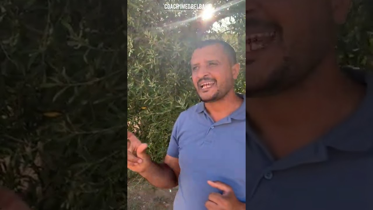 الممارسات الفنية السليمة للحد من إنتشار سل الزيتون