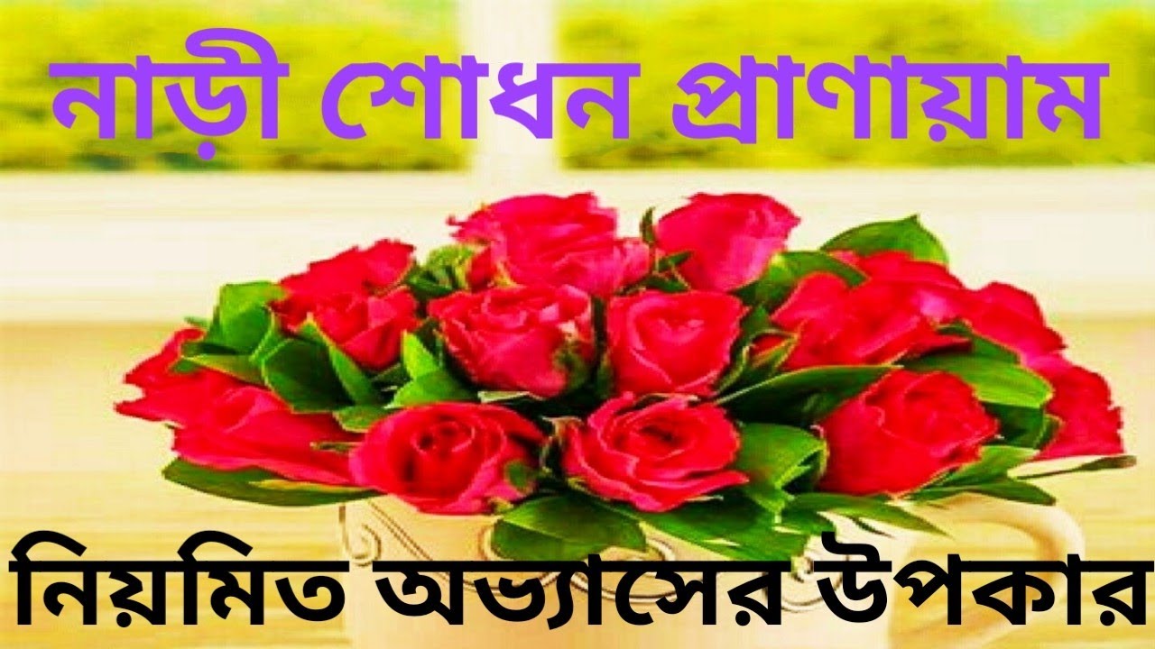 আনন্দপথ-২৪৯  নাড়ী শোধন প্রাণায়াম নিয়মিত অভ্যাসের উপকার।