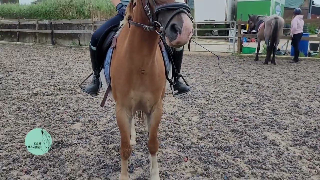 Afstappen