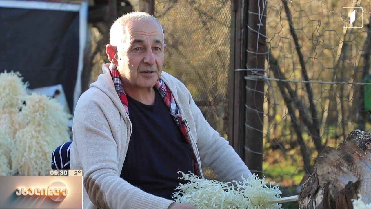 ახალი წლის ქართული სიმბოლოს - ჩიჩილაკის ოსტატი, გიორგი დათაშვილი გურიიდან