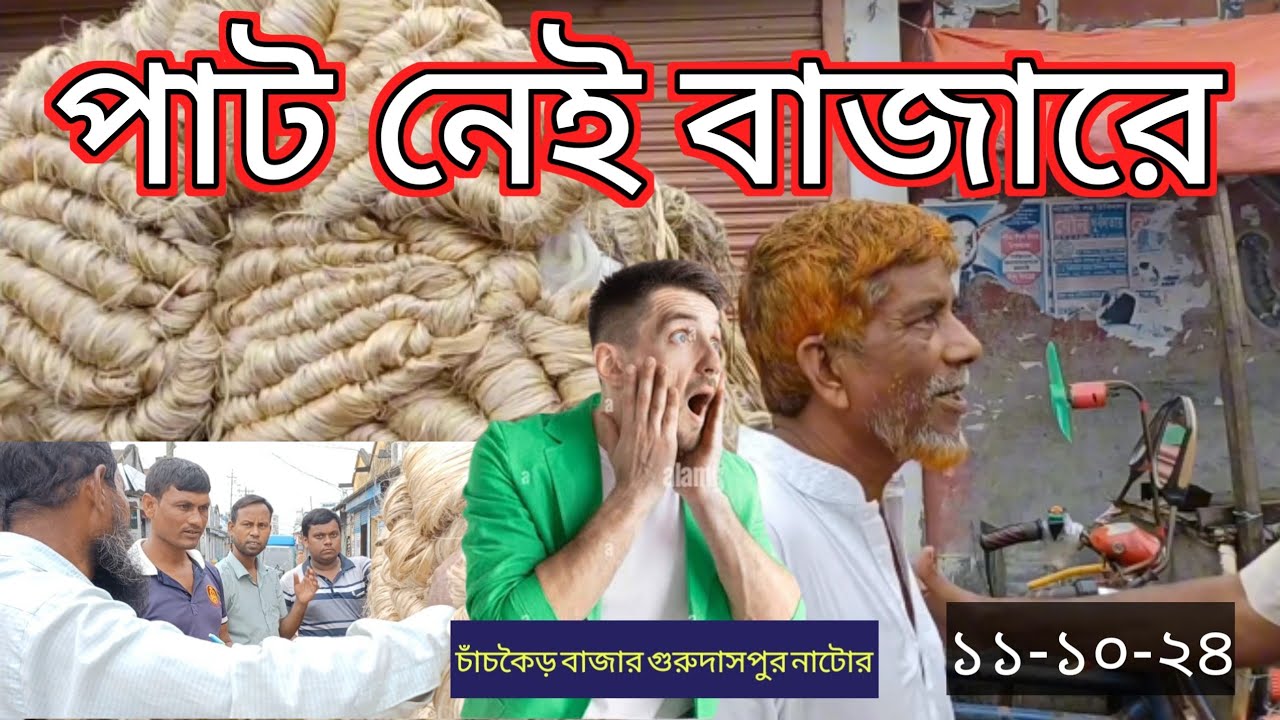 আজকের পাটের বাজার ১১-১০-২৪ #khairulislamtv #পাটপাইকারি #Marketpricejute