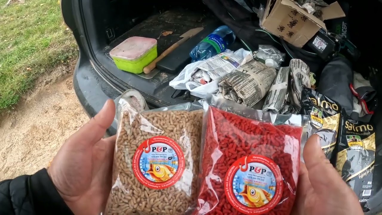 С матчем в непогоду , коты и рыбун  довольны, отчёт № 413