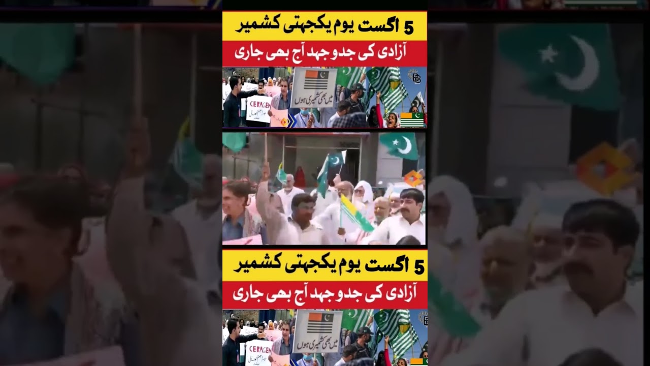 Kashmir Solidarity Day 2026🤞💪 | Youm-e-Kashmir | Kashmir Day | India Act 5 August ❌. #shorts #viral.