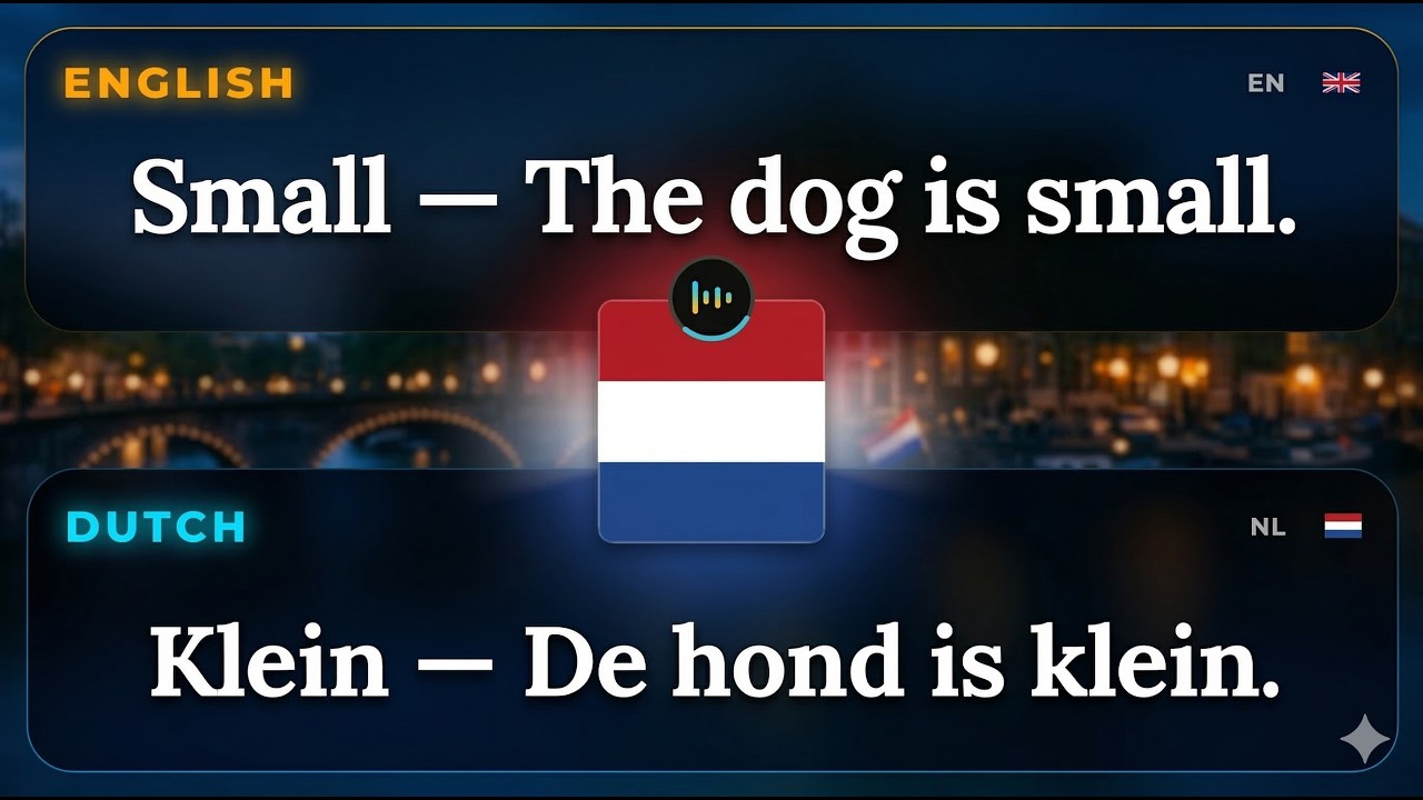 Dutch for Beginners: 50+ Daily Phrases for Easy Conversation