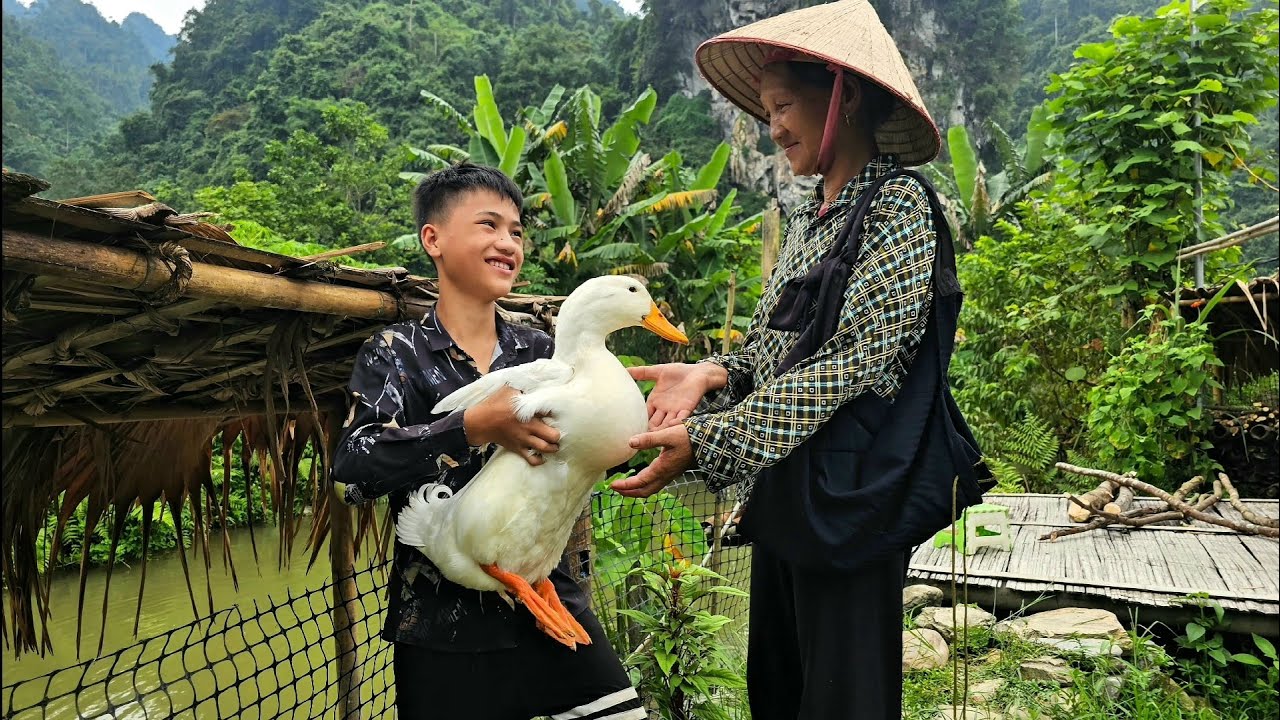 Boy Nam went into the forest to collect firewood to store-Kind grandmother visited and gave Nam rice