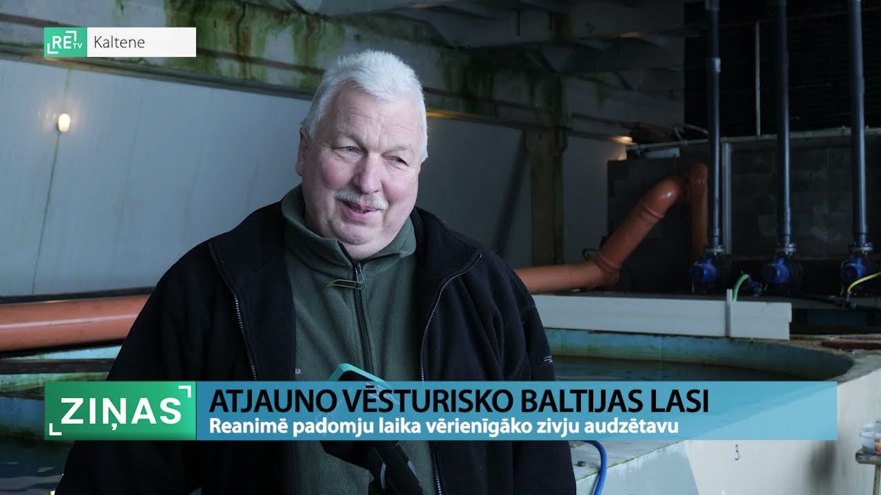 ReTV: Padomju laika zivju audzētavā mēģina atdzimt vēsturiskie Baltijas laši
