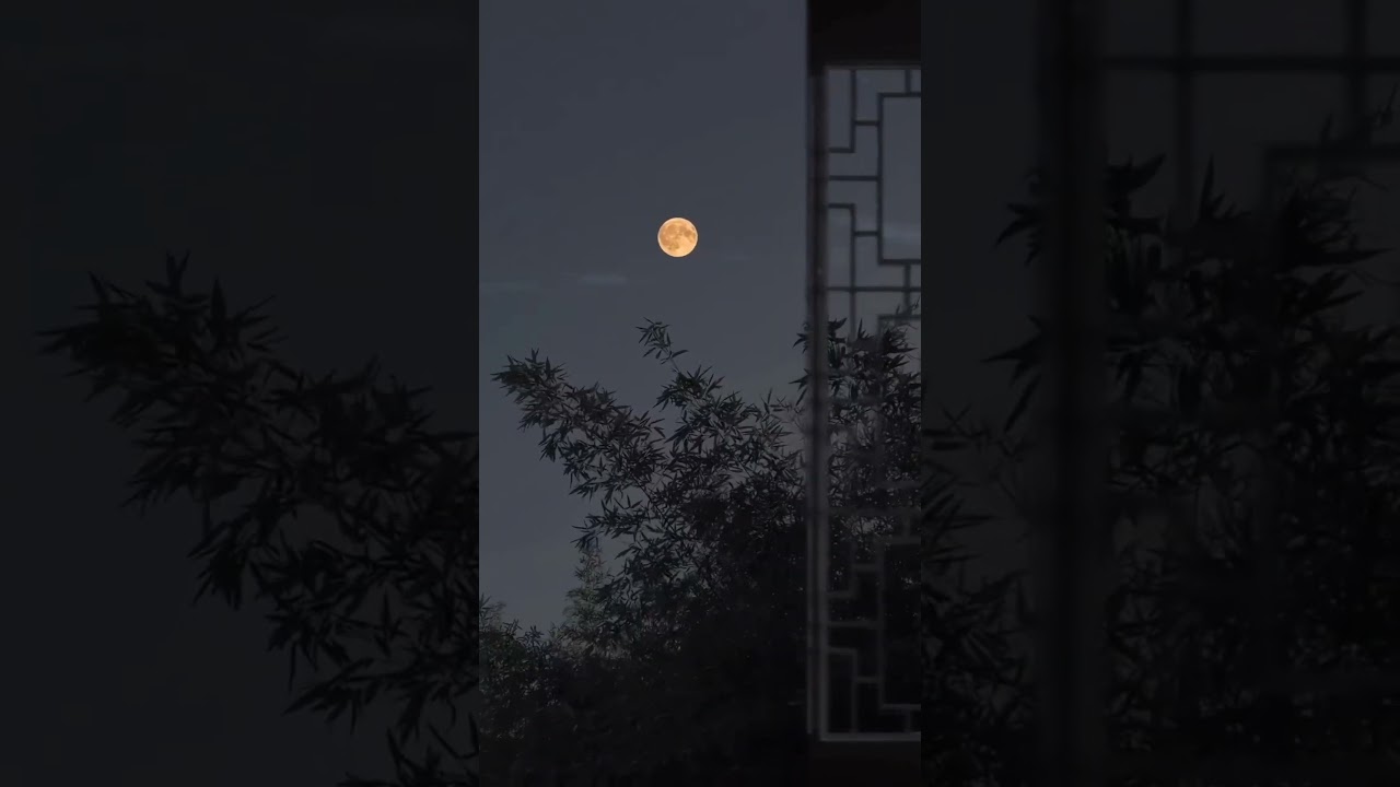 Moon night 🌙 || fisla song status || Instagram trending reel | #viral #moon #feelings